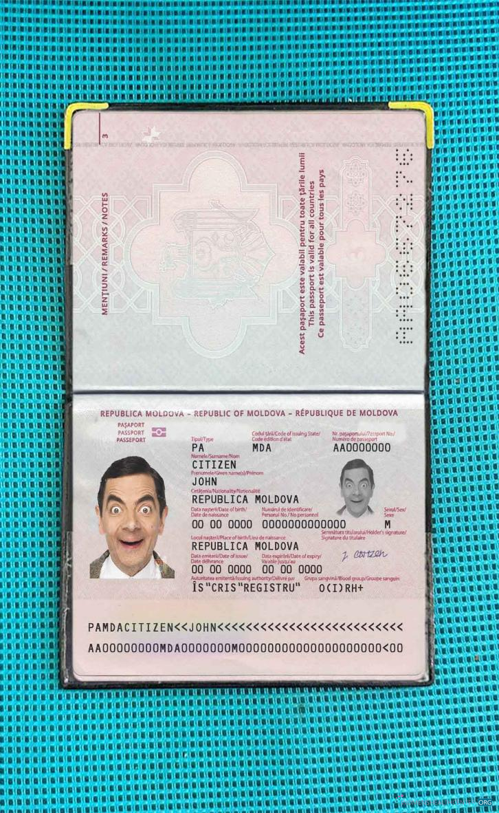 Download Moldova passport (2014 present) photo look Photoshop template